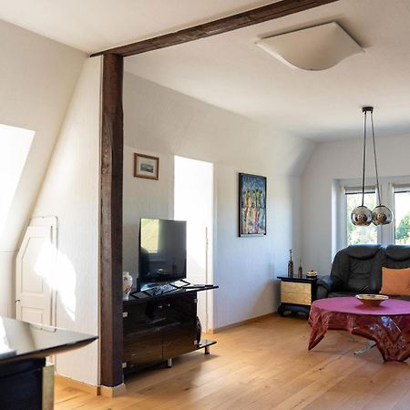 Apartment In Villa Rochlitz 外观 照片